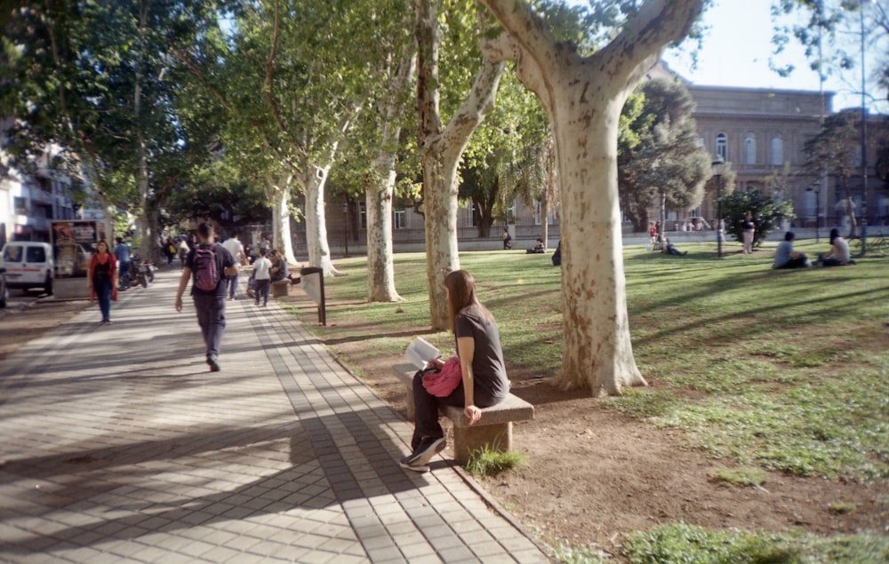 woman in pink shirt sitting on bench near trees during daytime