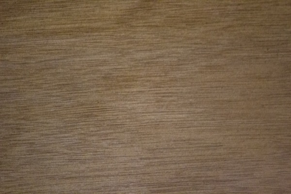 Close-up of smooth plywood surface texture