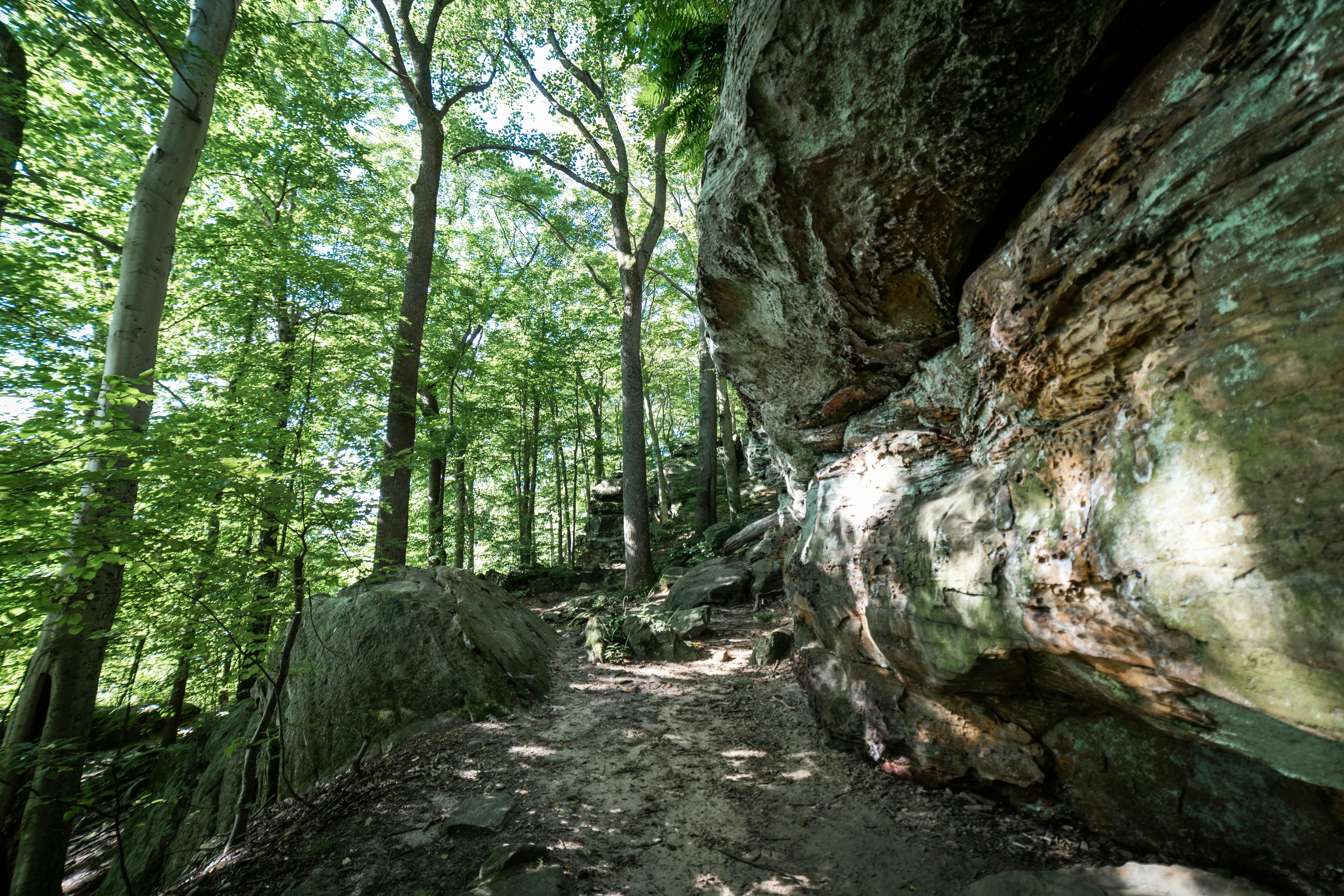 Photo by drkolomiyets