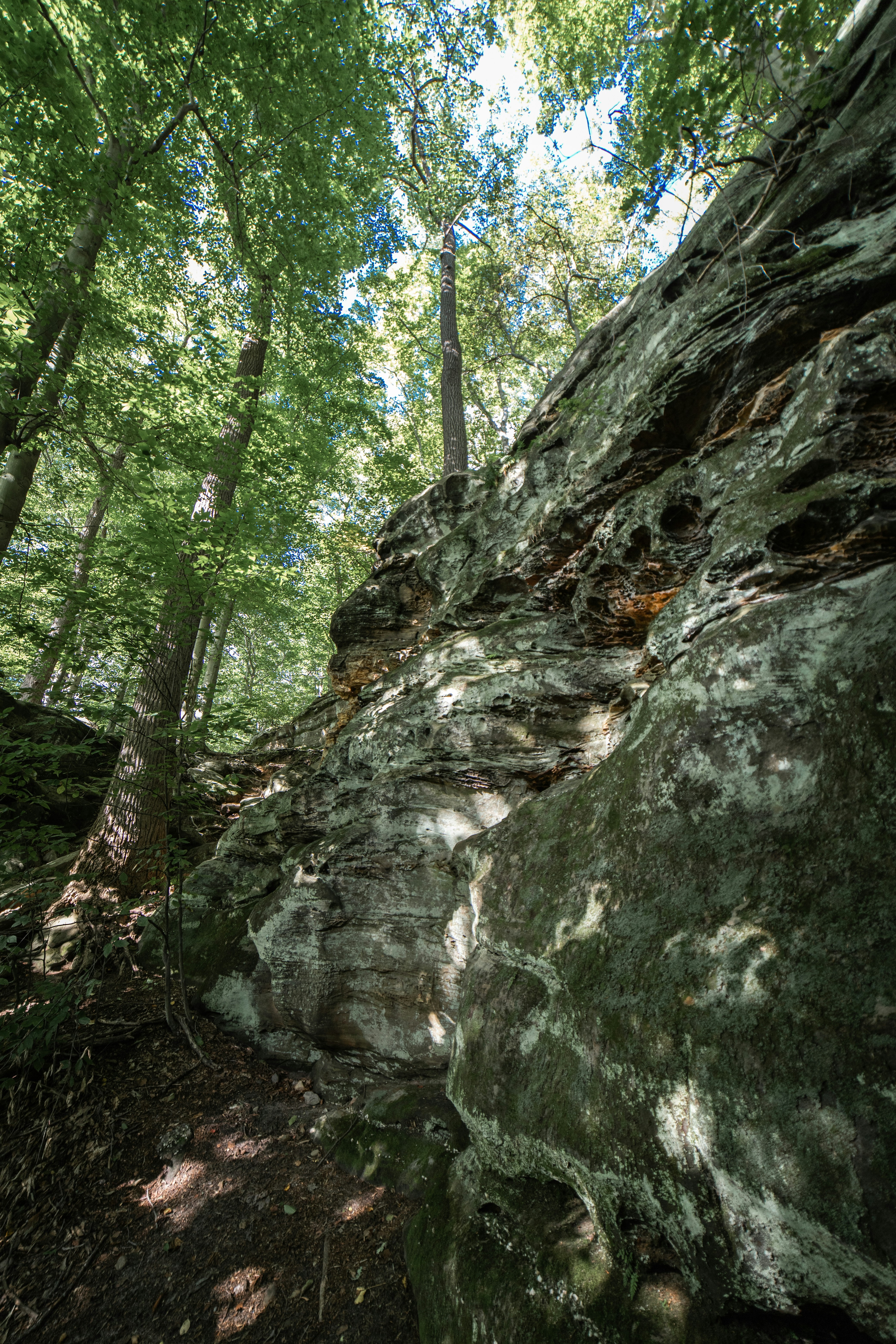 Photo by drkolomiyets