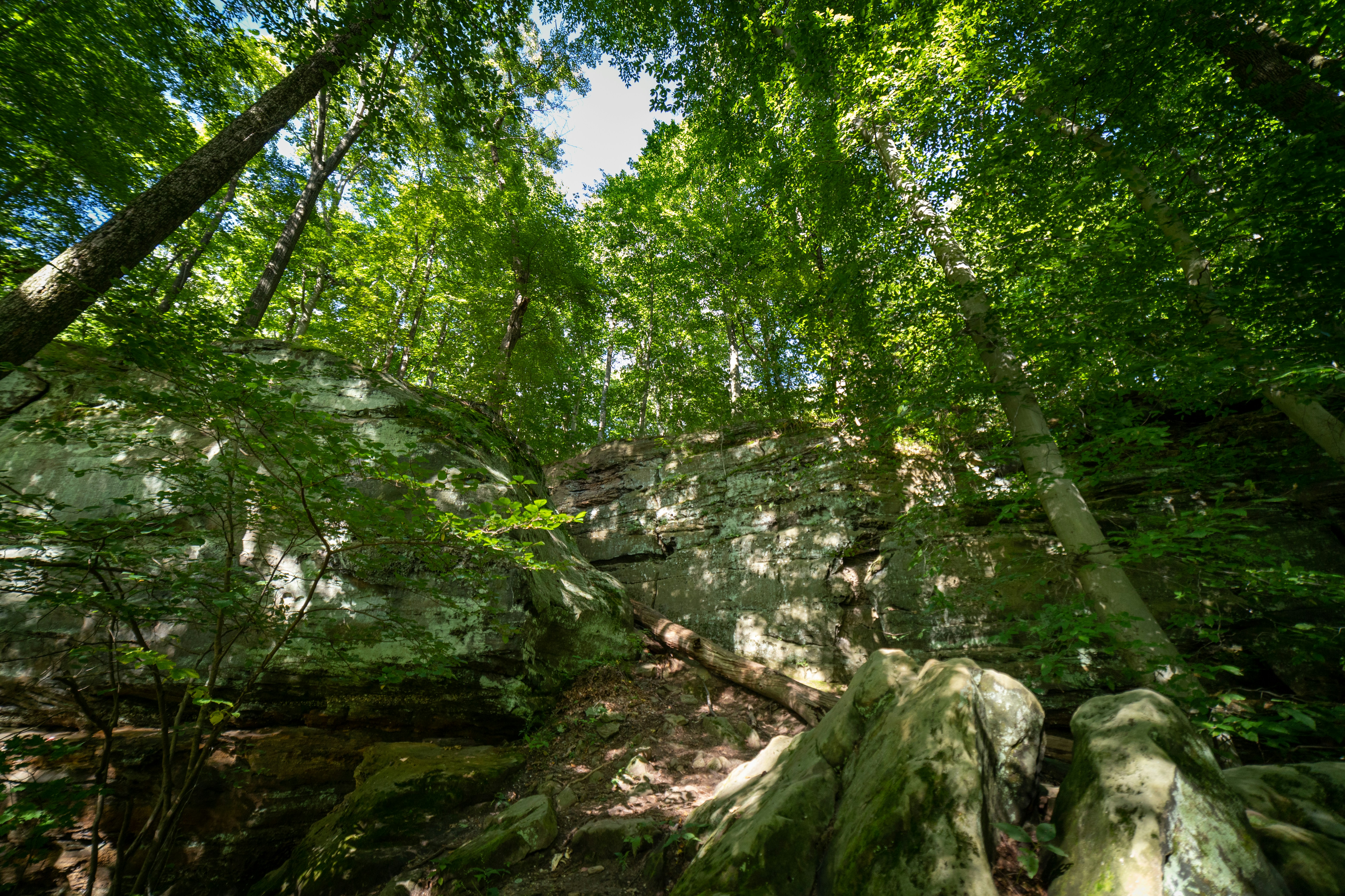 Photo by drkolomiyets