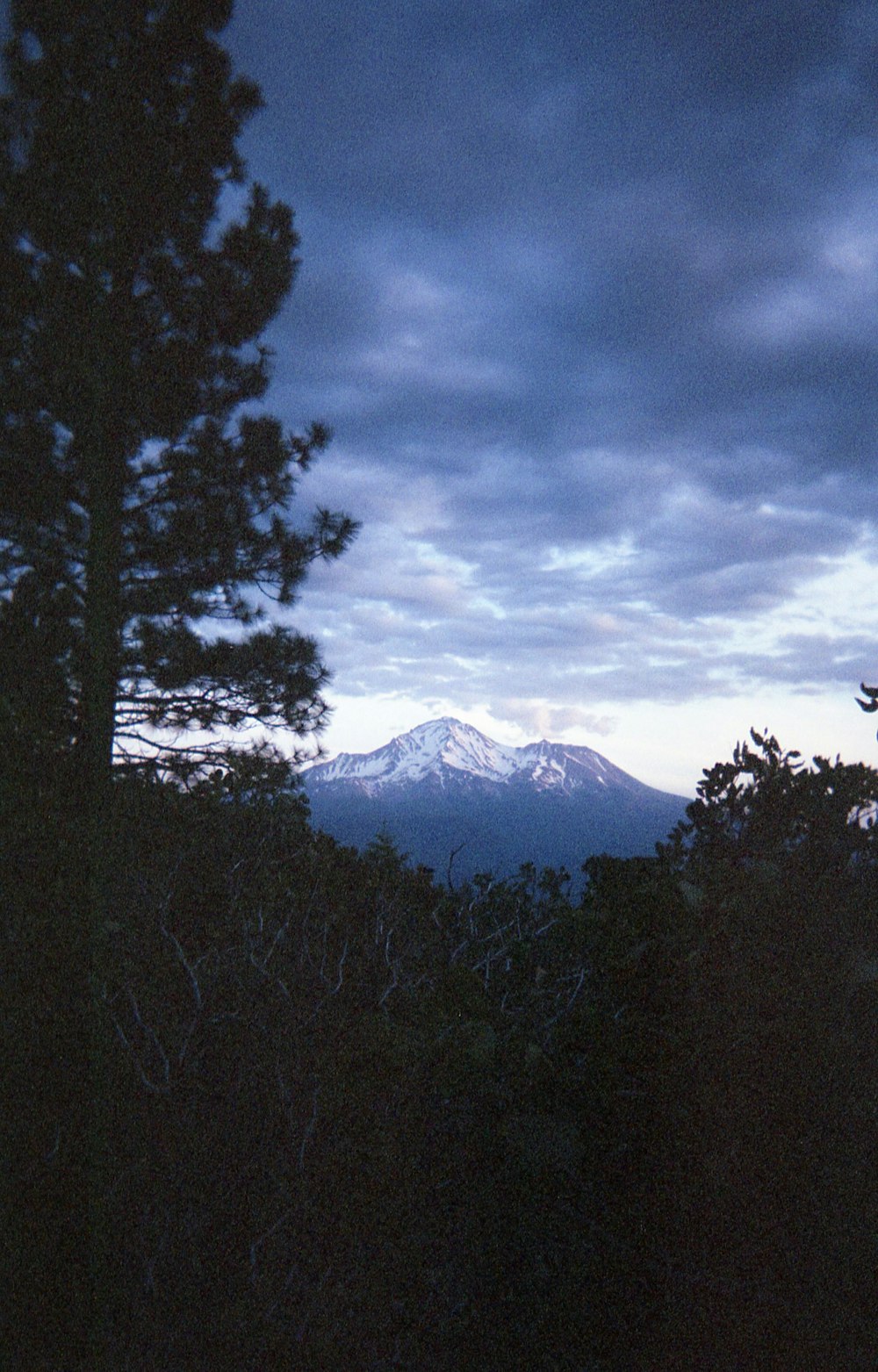 green trees near snow covered mountain under cloudy sky during daytime