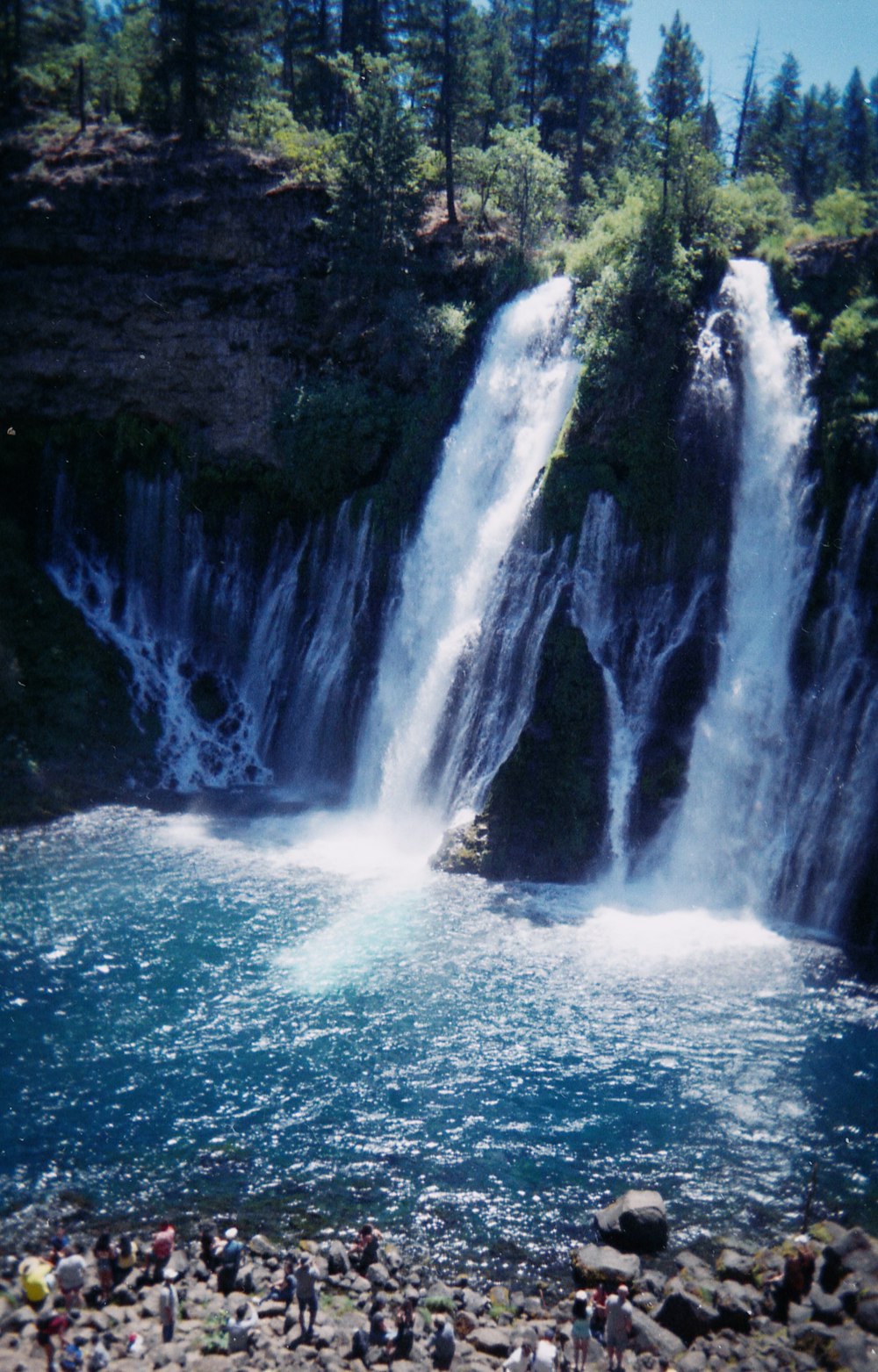 waterfalls in the middle of green trees