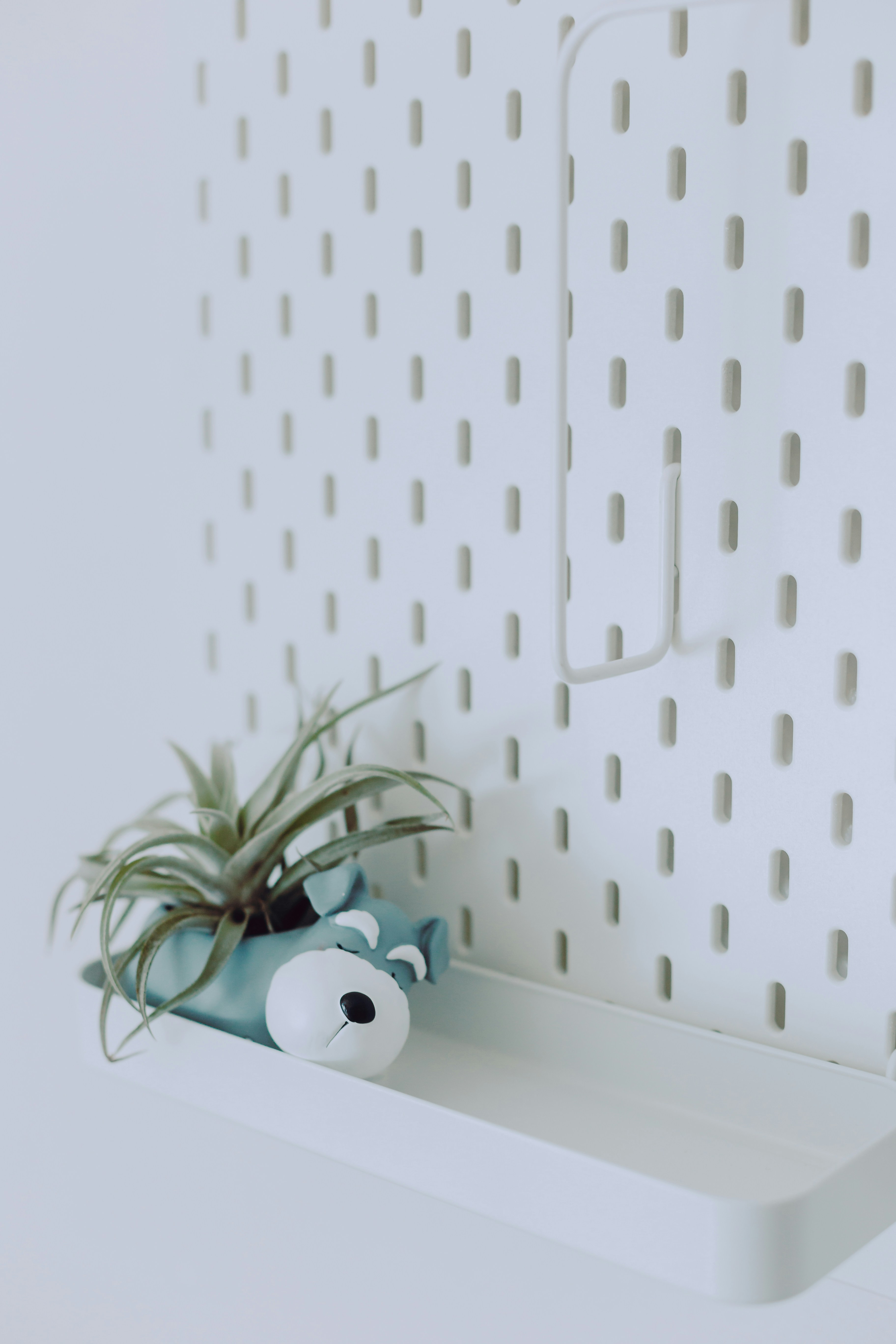 흰 테이블에 녹색 화분