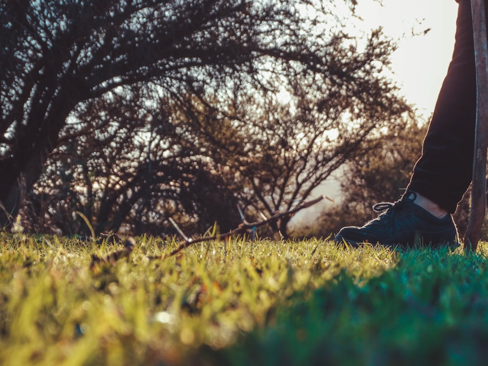 person in black pants lying on green grass field near bare trees during daytime