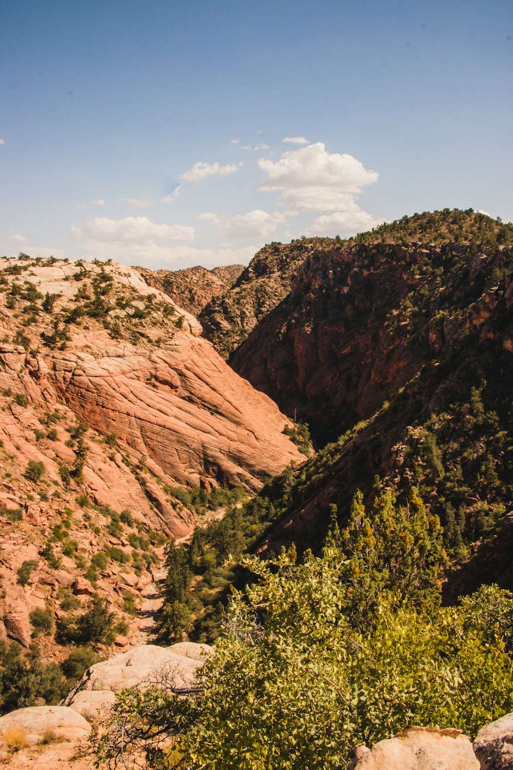 green trees on brown mountain under blue sky during daytime