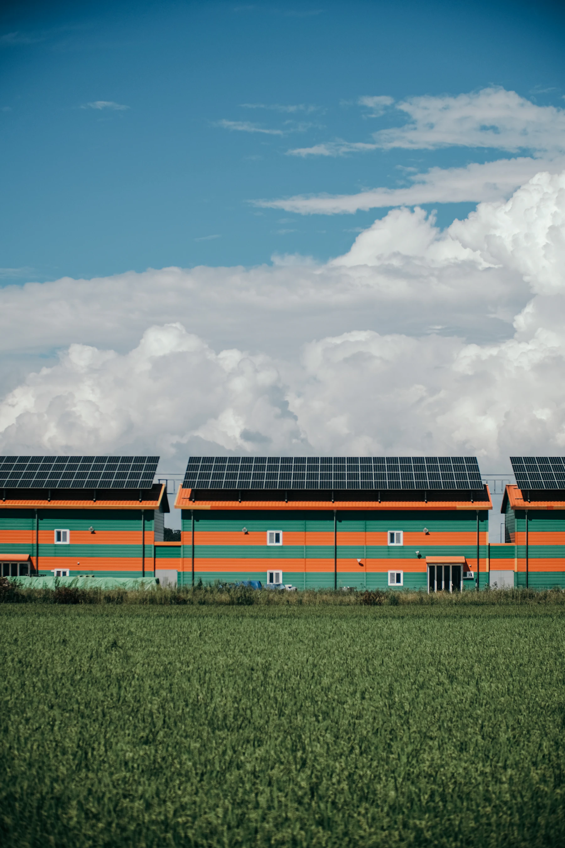 Partage d’Énergie en Belgique : Comment Ça Fonctionne ?