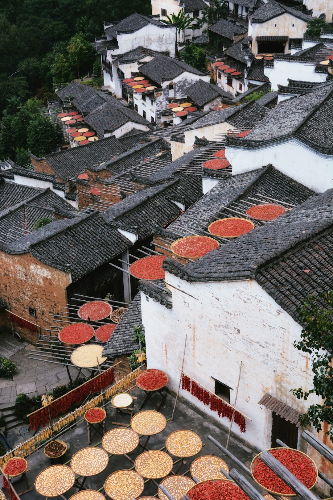 white and brown concrete houses