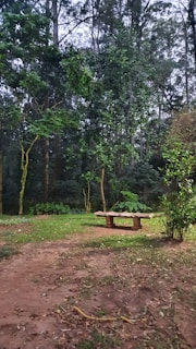 A serene outdoor scene with a par-care pad package resting on a wooden bench surrounded by greenery.