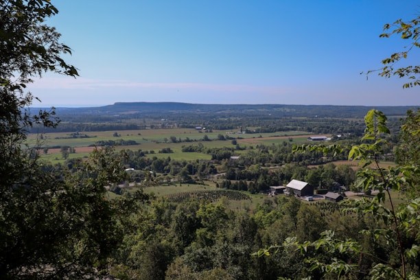 A scenic view of the farm surrounded by lush greenery.