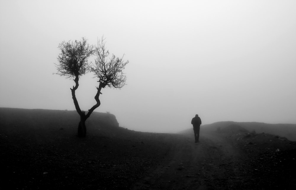 man standing on a foggy hill