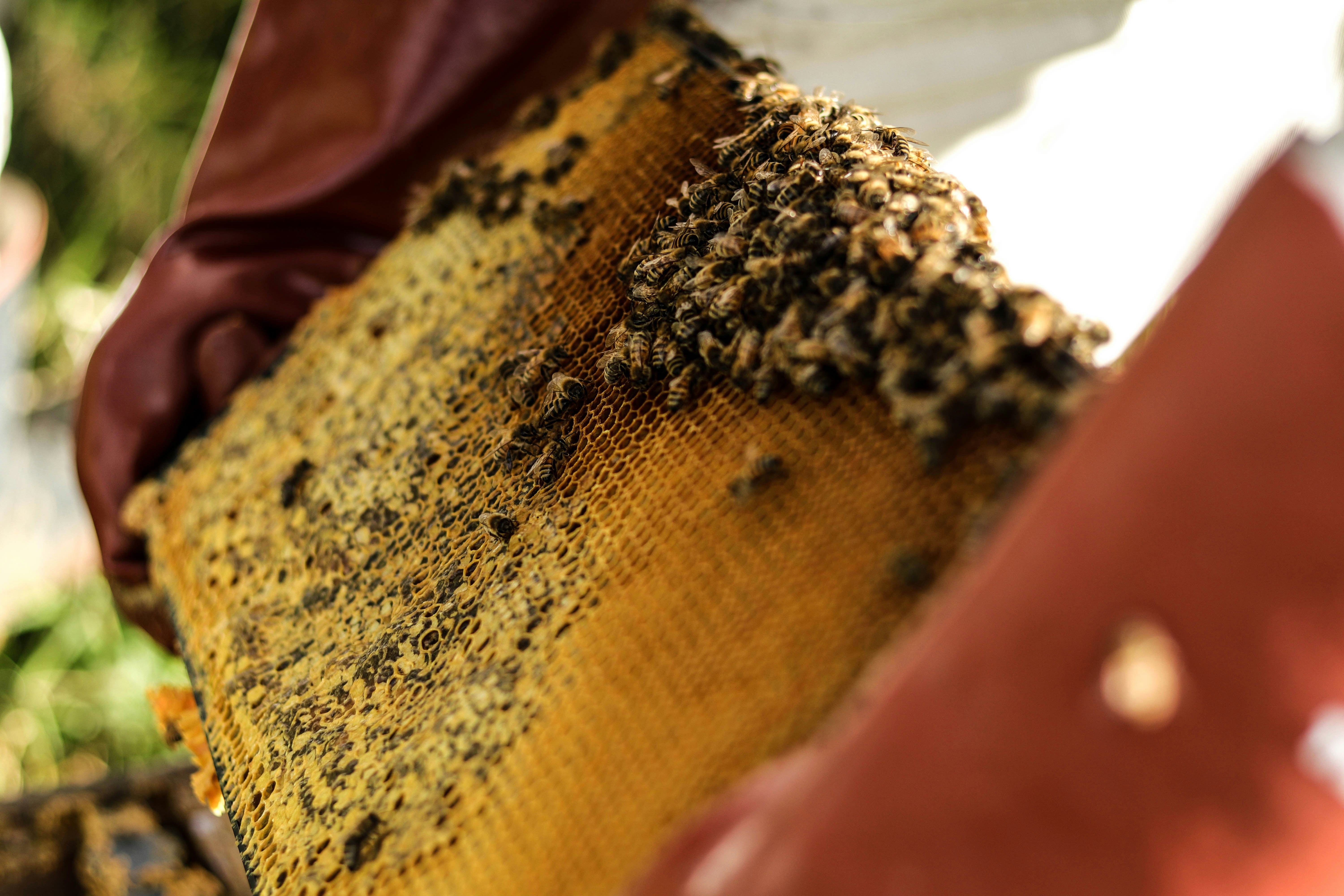 Photo by danika_anya