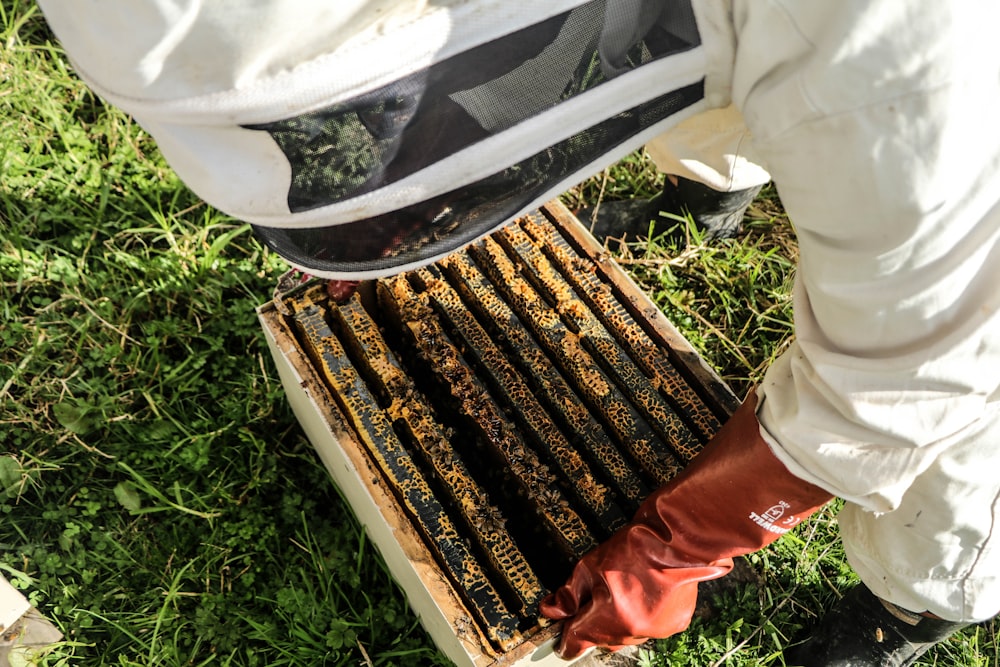 pessoa em calças vermelhas e camisa branca em pé no campo de grama verde durante o dia