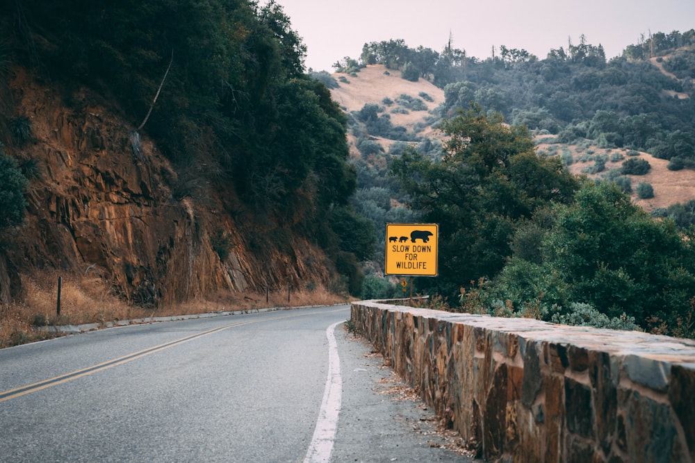 yellow and black road sign on gray concrete wall