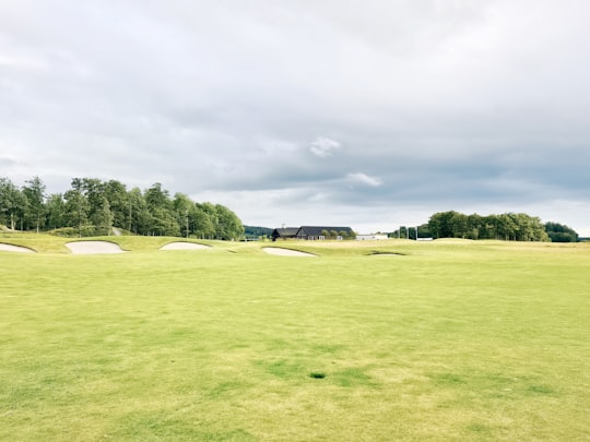 green grass field under cloudy sky during daytime in Gothenburg Sweden