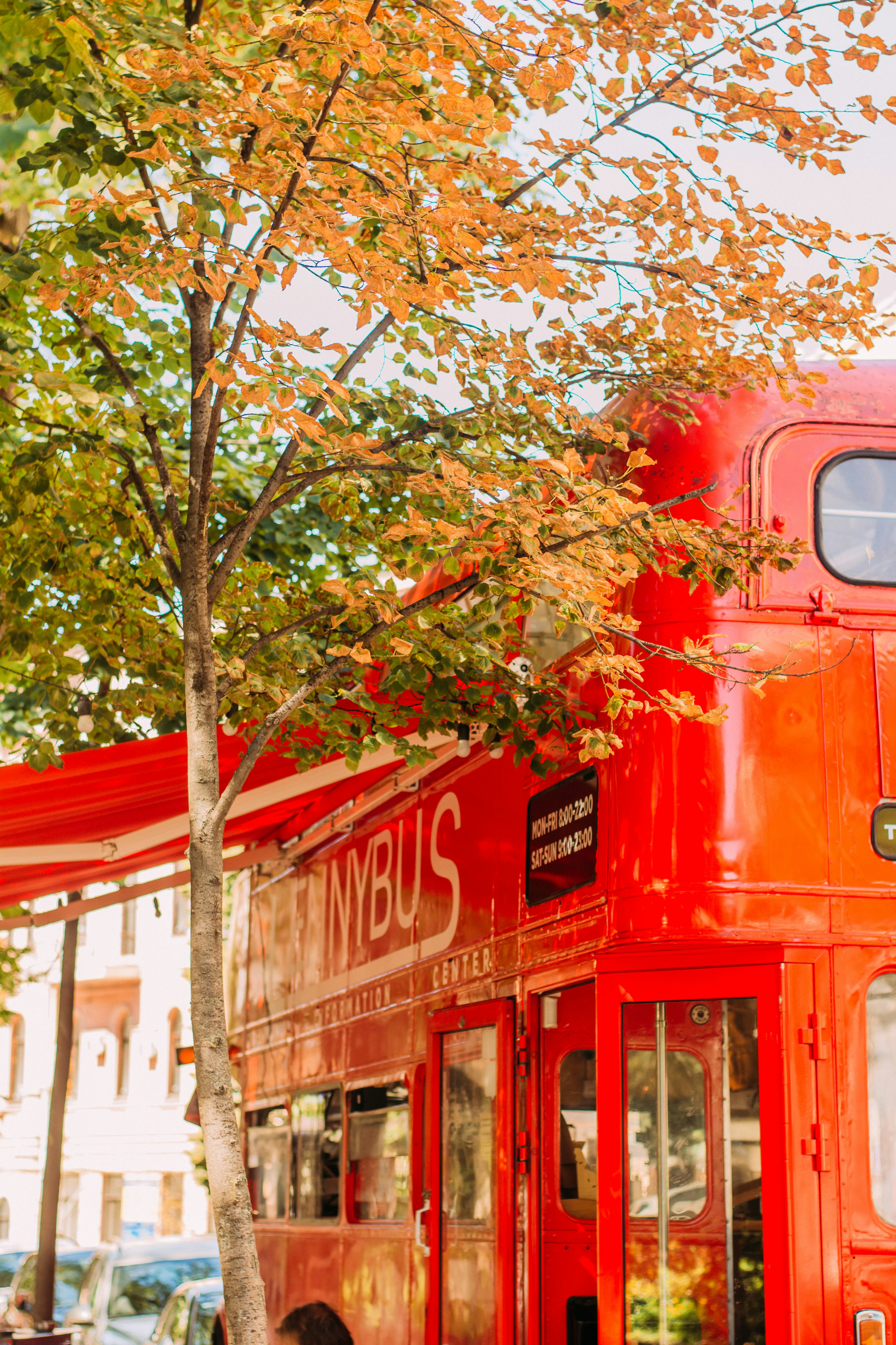 Photo by eugenivy_now