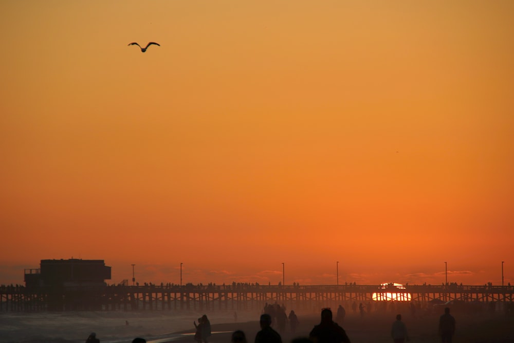 people walking on beach during sunset