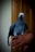 A cheerful African Grey parrot perched on a customer's hand, showing its vibrant feathers.