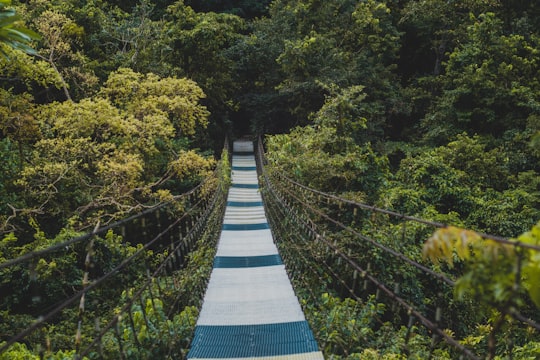 blue and white bridge in the middle of green trees in Tanay Philippines