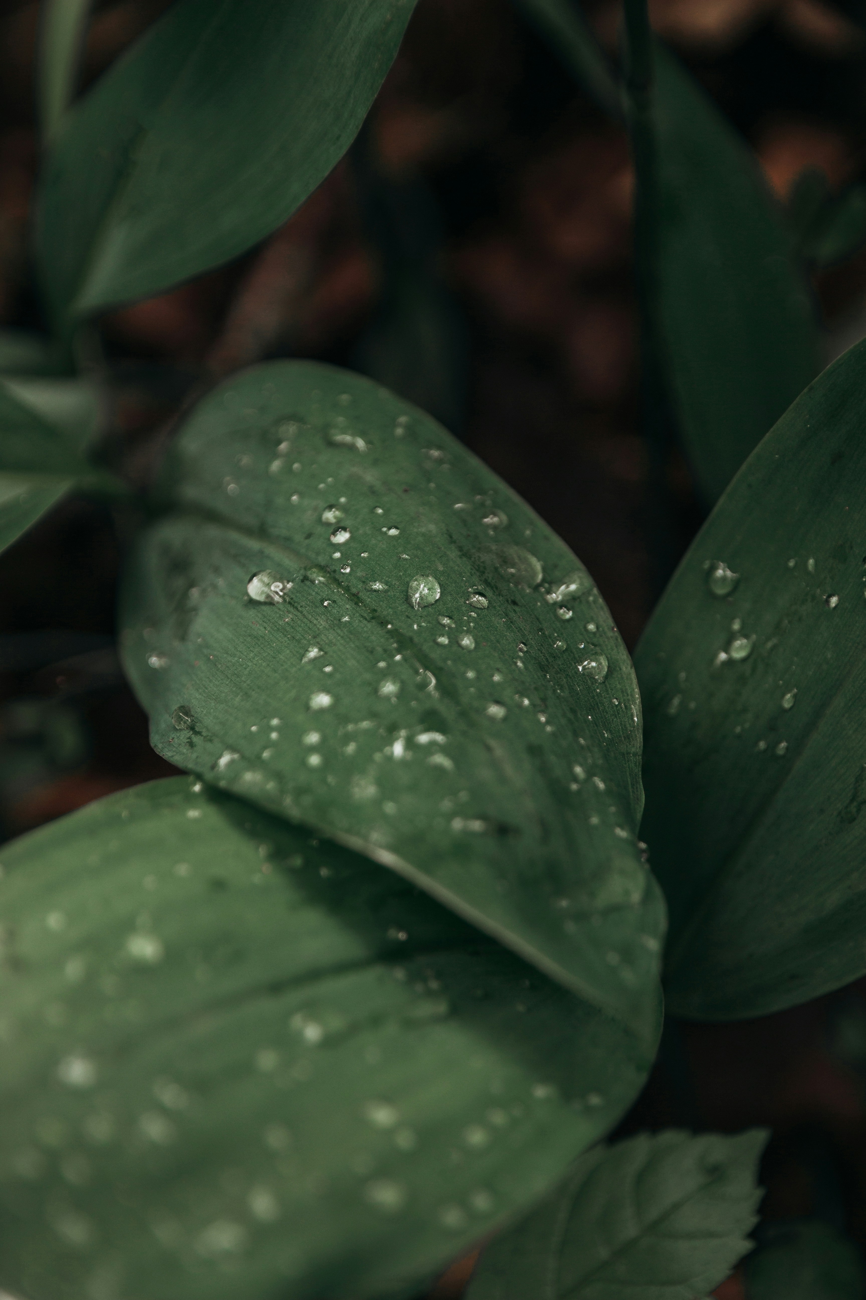 Photo by artstanulevich