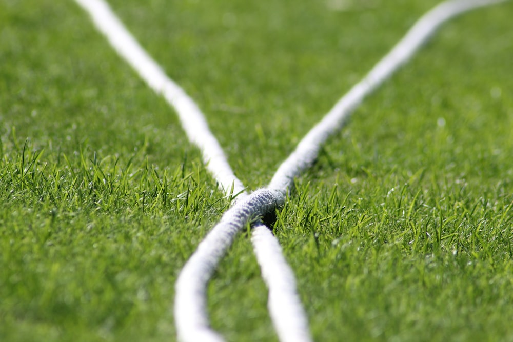 white rope on green grass field during daytime