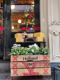 A decorative wooden crate labeled 'Holland 1967' adorned with red designs. It contains green plants and white flowers. Above the crate, there are blocks of cheese and a metal cheese slicer. The background shows a reflective glass surface with blurred lights, hinting at an indoor setting with festive decorations.