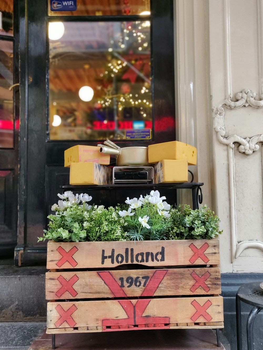 green potted plant on yellow and black box