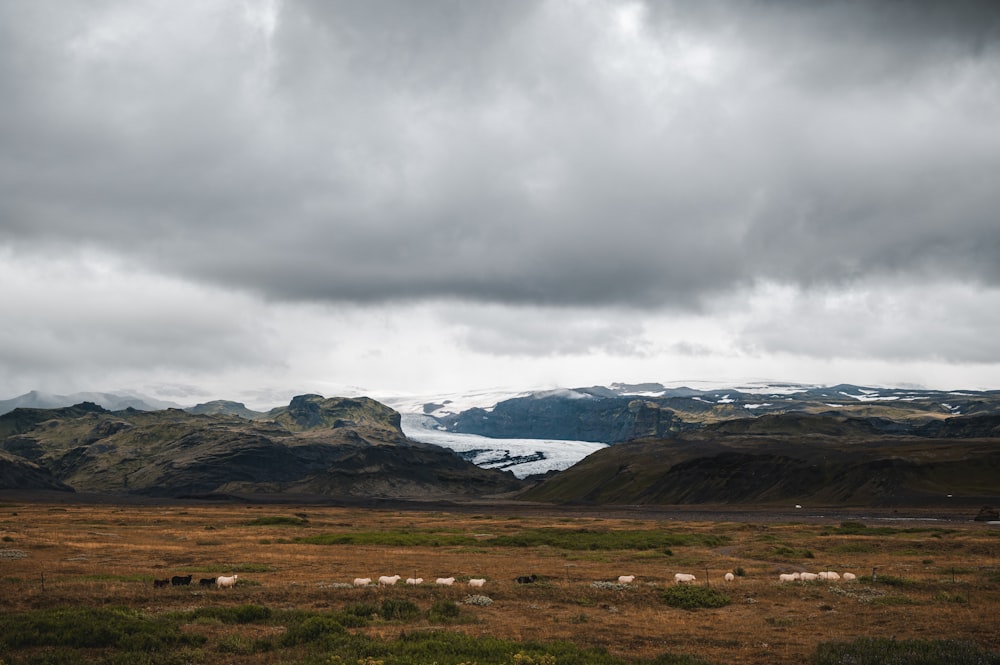 green grass field near mountain under white clouds during daytime