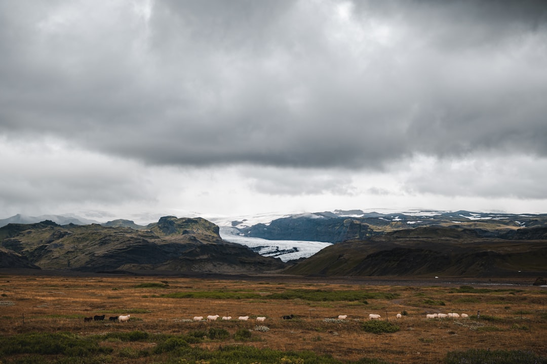 Tundra photo spot Southern Region Iceland