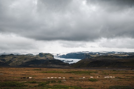 green grass field near mountain under white clouds during daytime in Southern Region Iceland