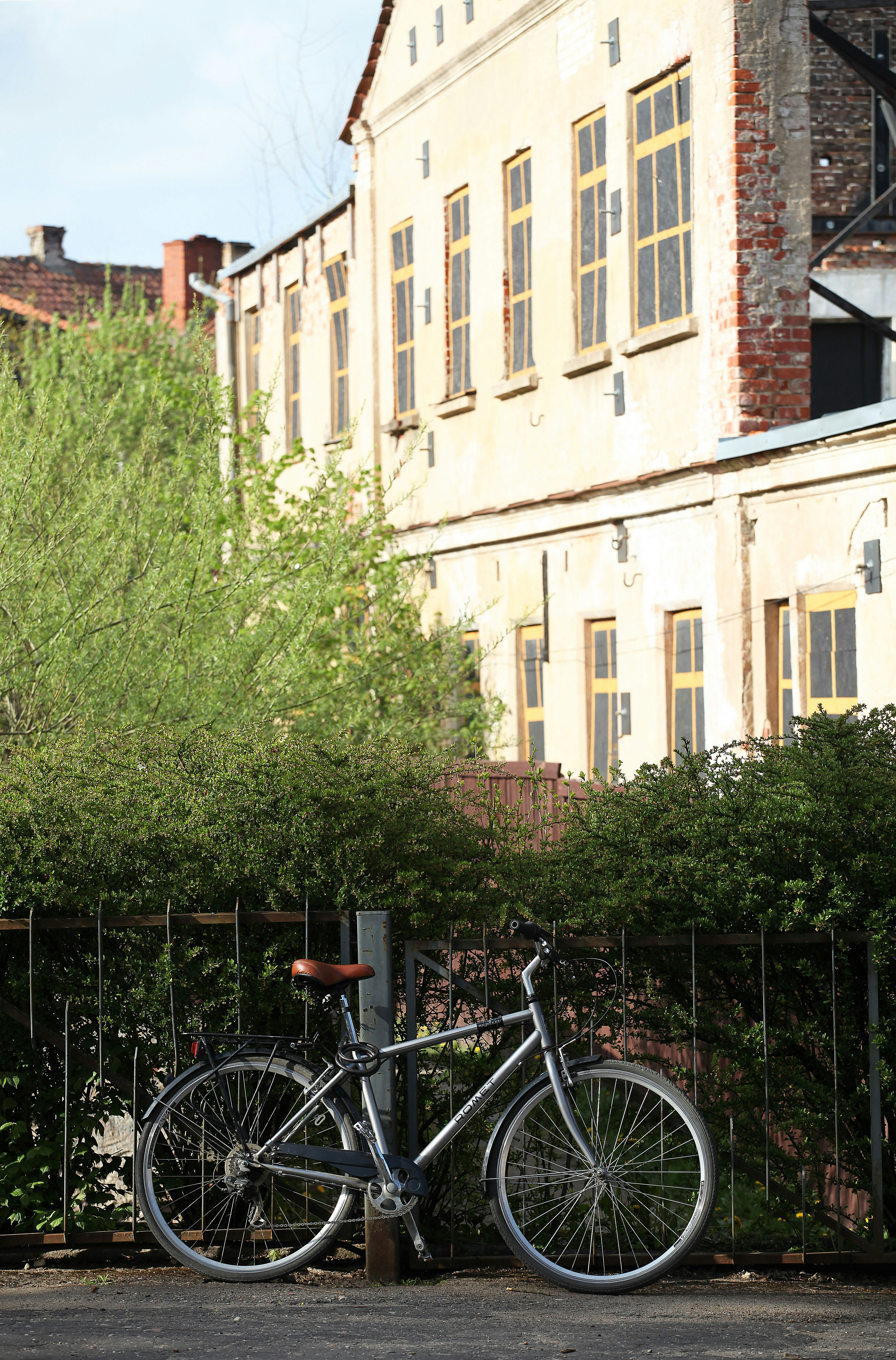 black commuter bike parked beside green tree during daytime