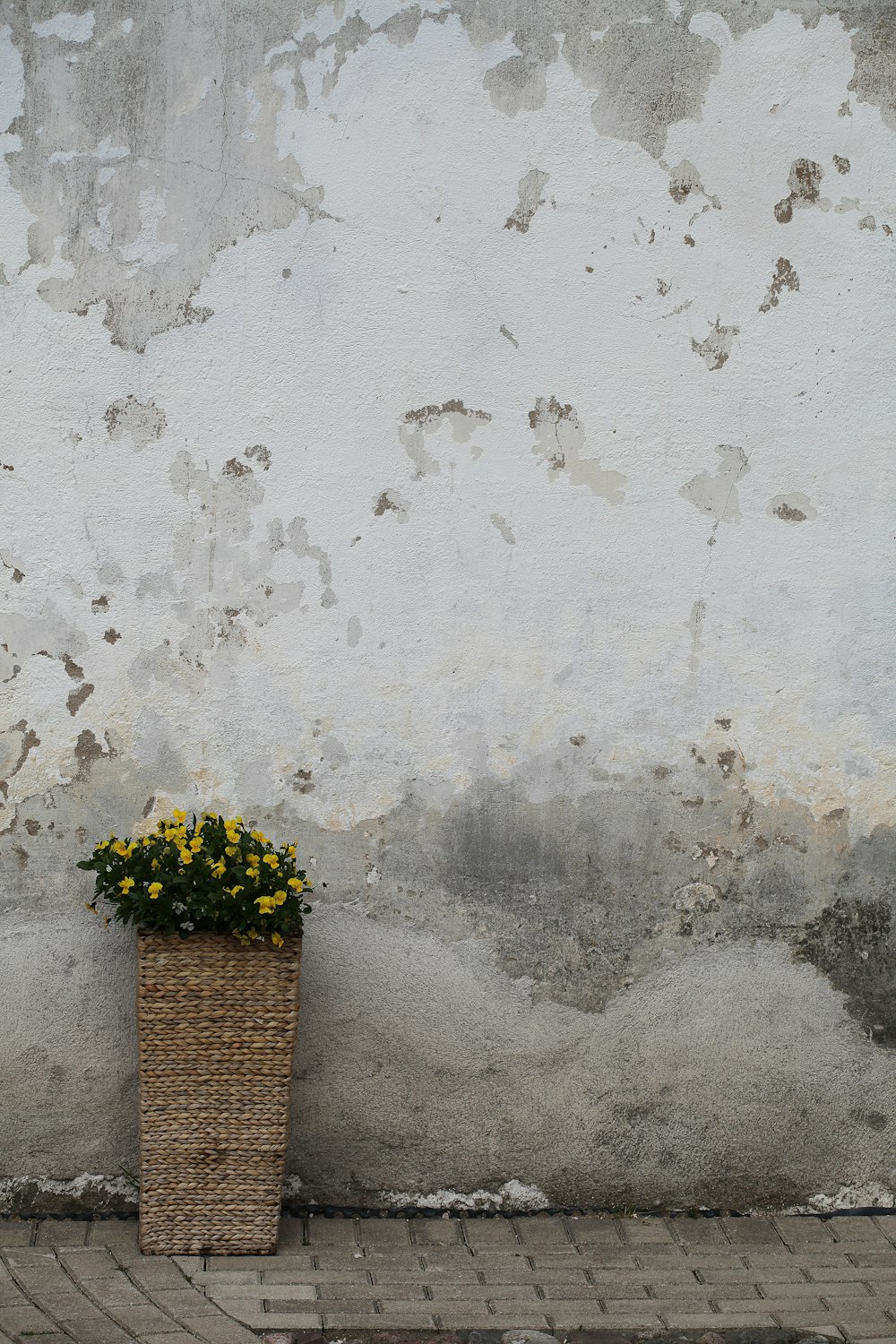 yellow and green flower bouquet on brown brick wall
