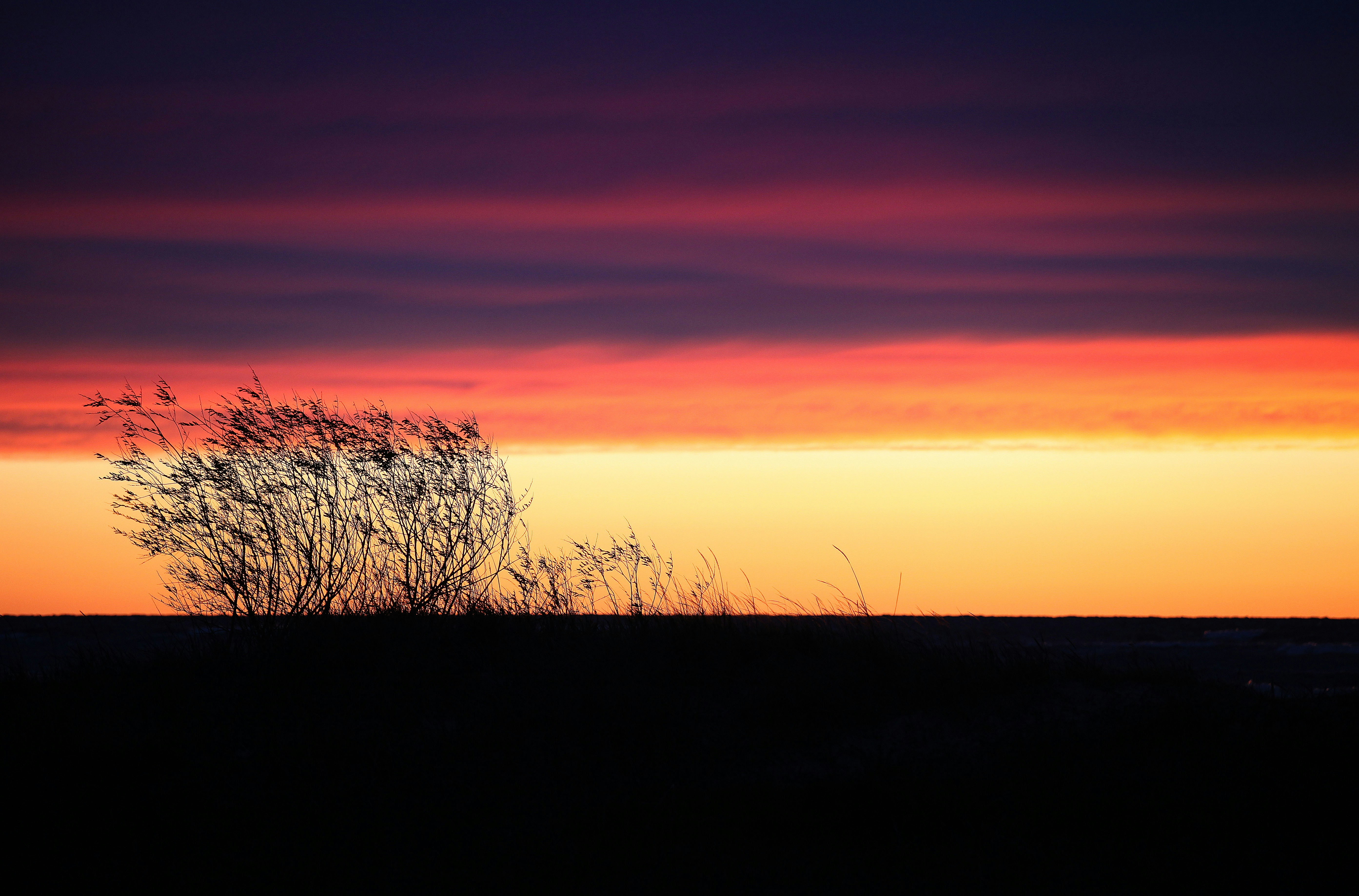 Photo by straume_foto