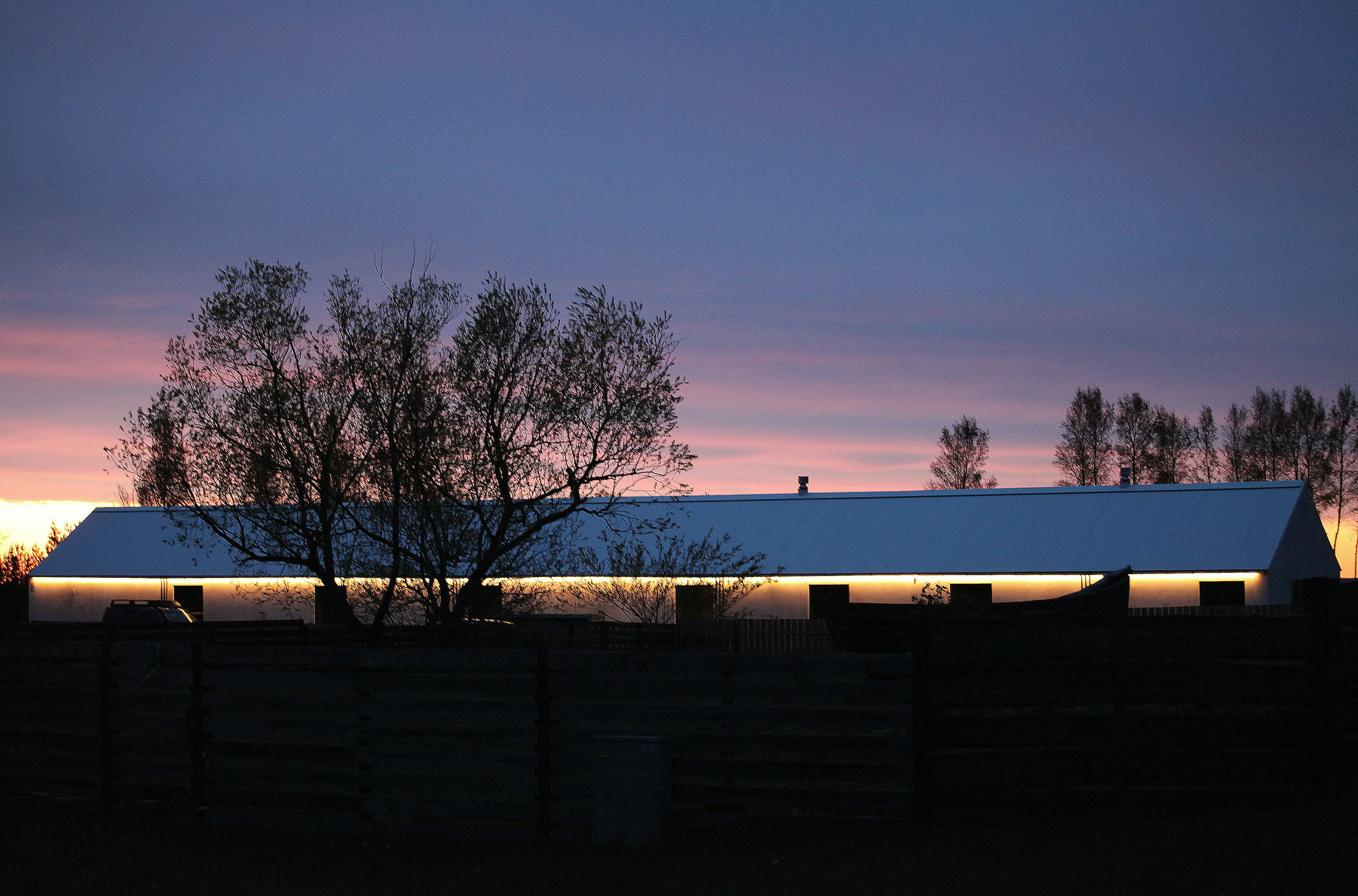 Dairy farm landscape