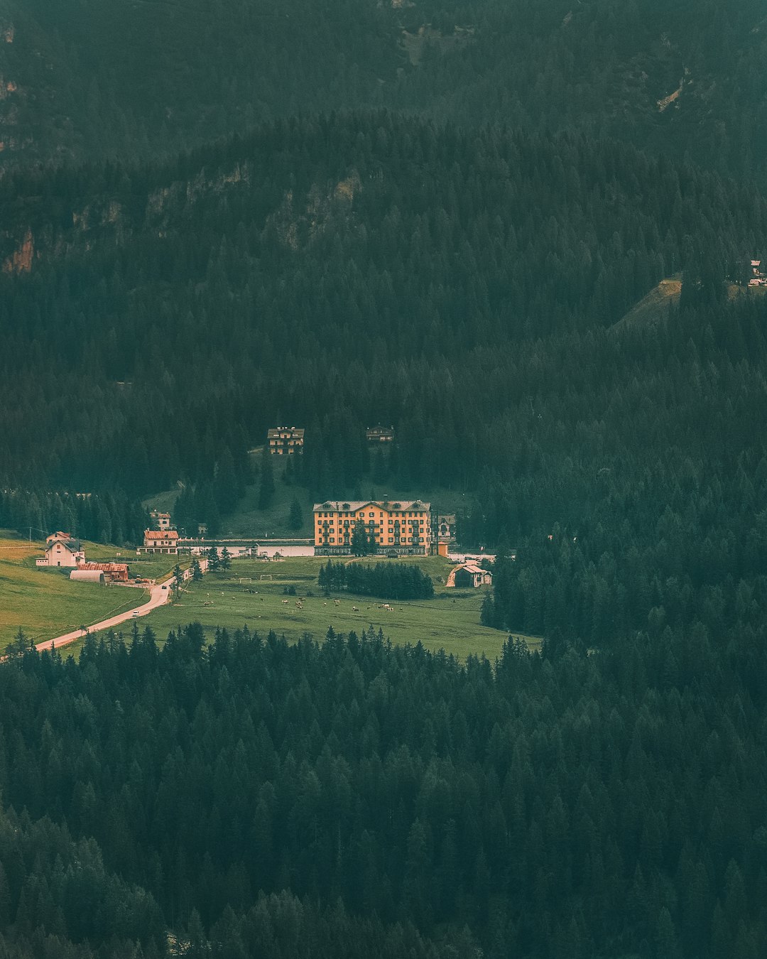 aerial view of green trees and brown house during daytime