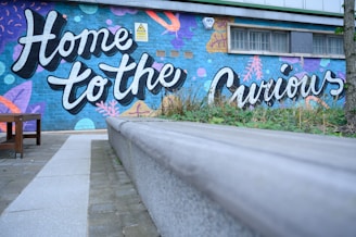 A vibrant mural with the words 'Home to the Curious' painted on a brick wall. The wall has colorful, abstract patterns in shades of blue, purple, orange, and green. The area in front features a paved path and a wooden bench surrounded by plant life, creating an inviting public space.