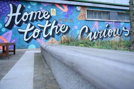 A vibrant mural with the words 'Home to the Curious' painted on a brick wall. The wall has colorful, abstract patterns in shades of blue, purple, orange, and green. The area in front features a paved path and a wooden bench surrounded by plant life, creating an inviting public space.
