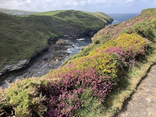 Scenic view of rolling hills and coastal cliffs along a peaceful nature trail in Salling.