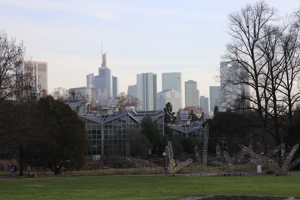 green grass field near city buildings during daytime