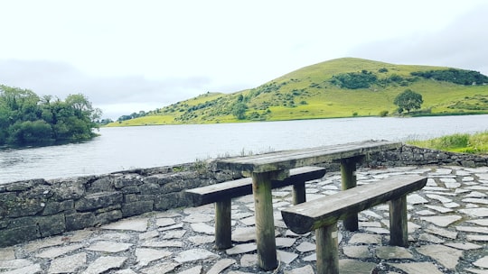 gray wooden bench on gray concrete floor near body of water during daytime in Lough Ireland