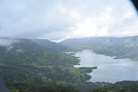 green trees on mountain near body of water during daytime in Koyna Wildlife Sanctuary India