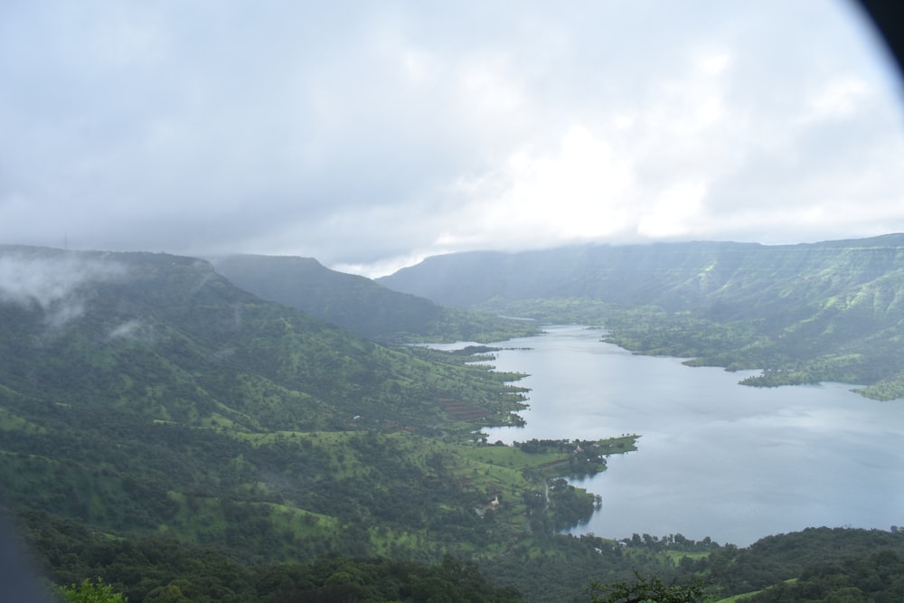 green trees on mountain near body of water during daytime