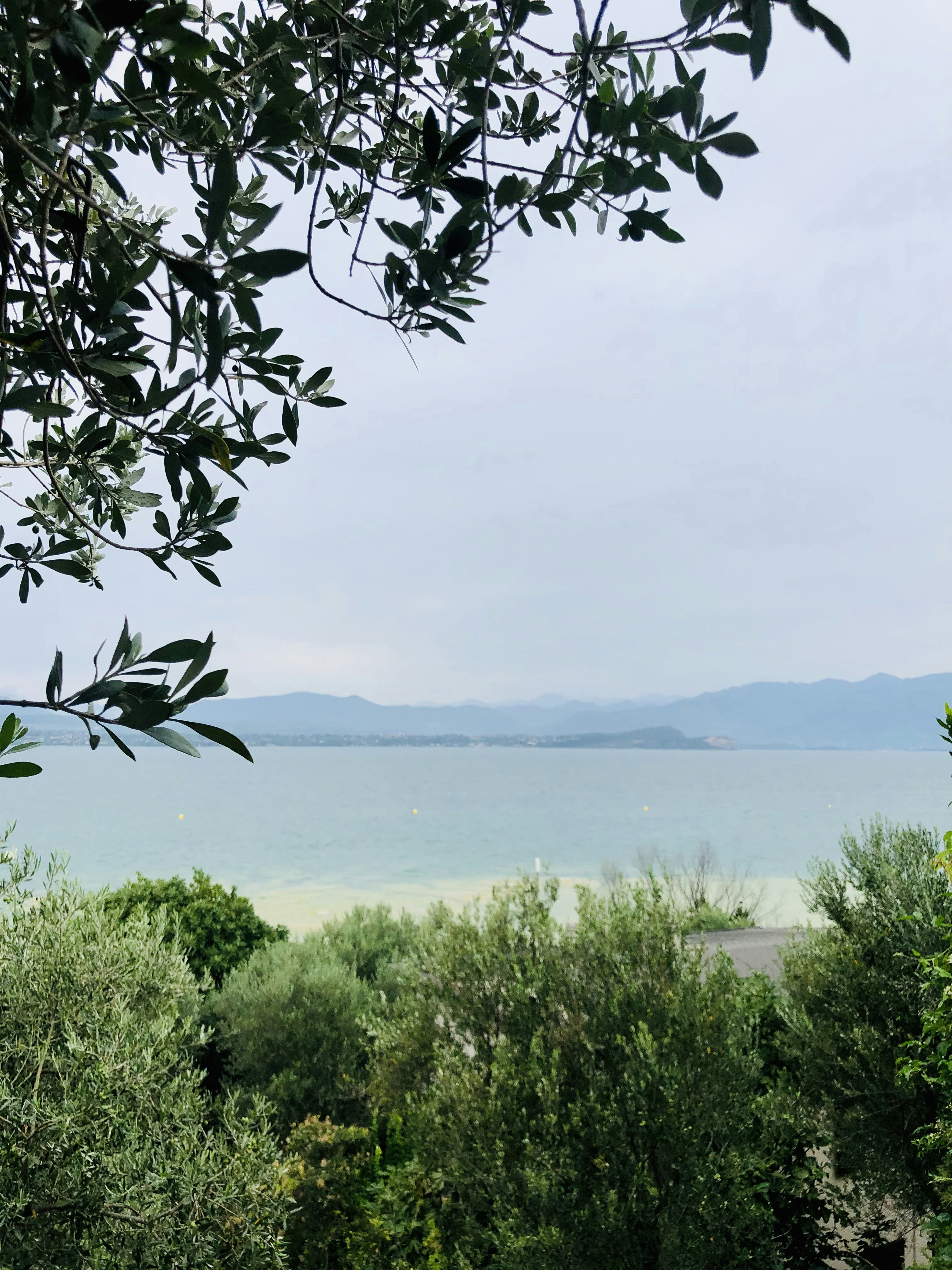 Sql.js-httpvfs (Static SQLite) 5 months later