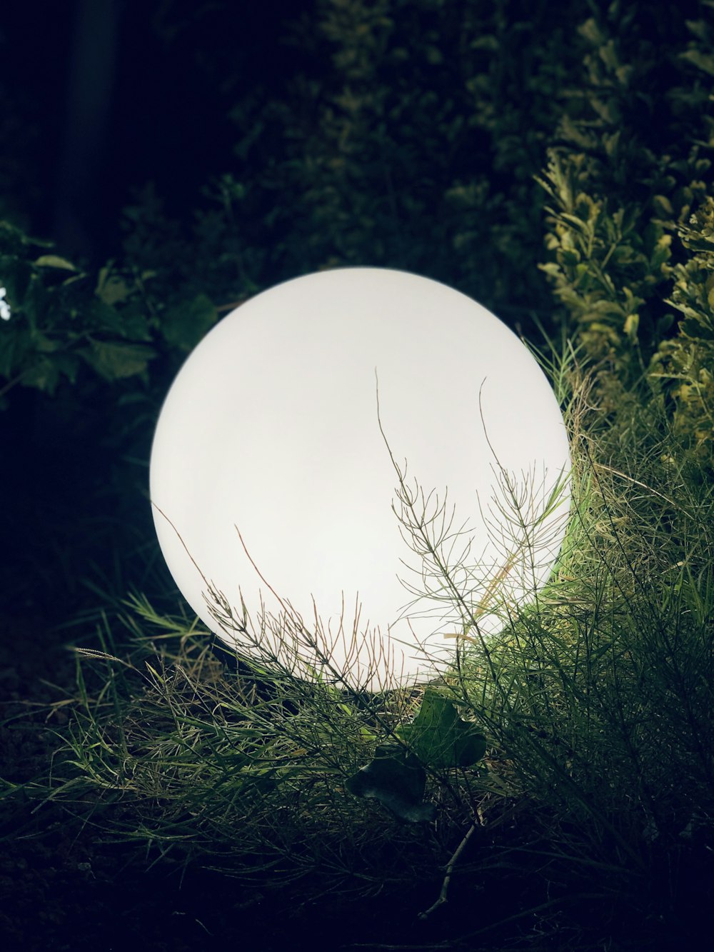 white round ball on green grass