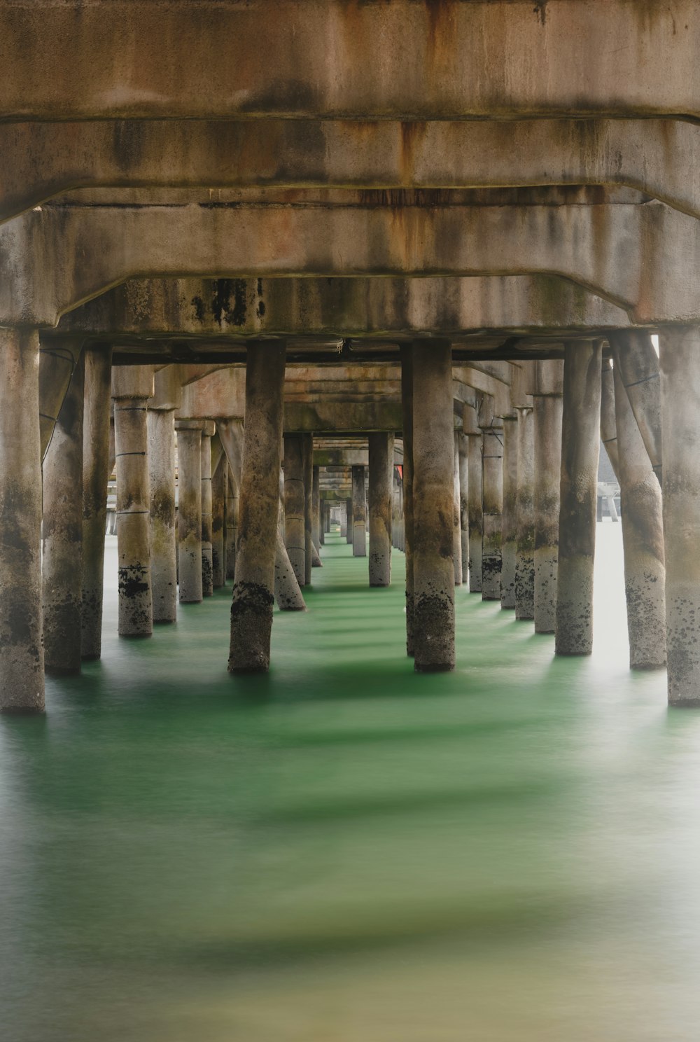 brown concrete posts on green water