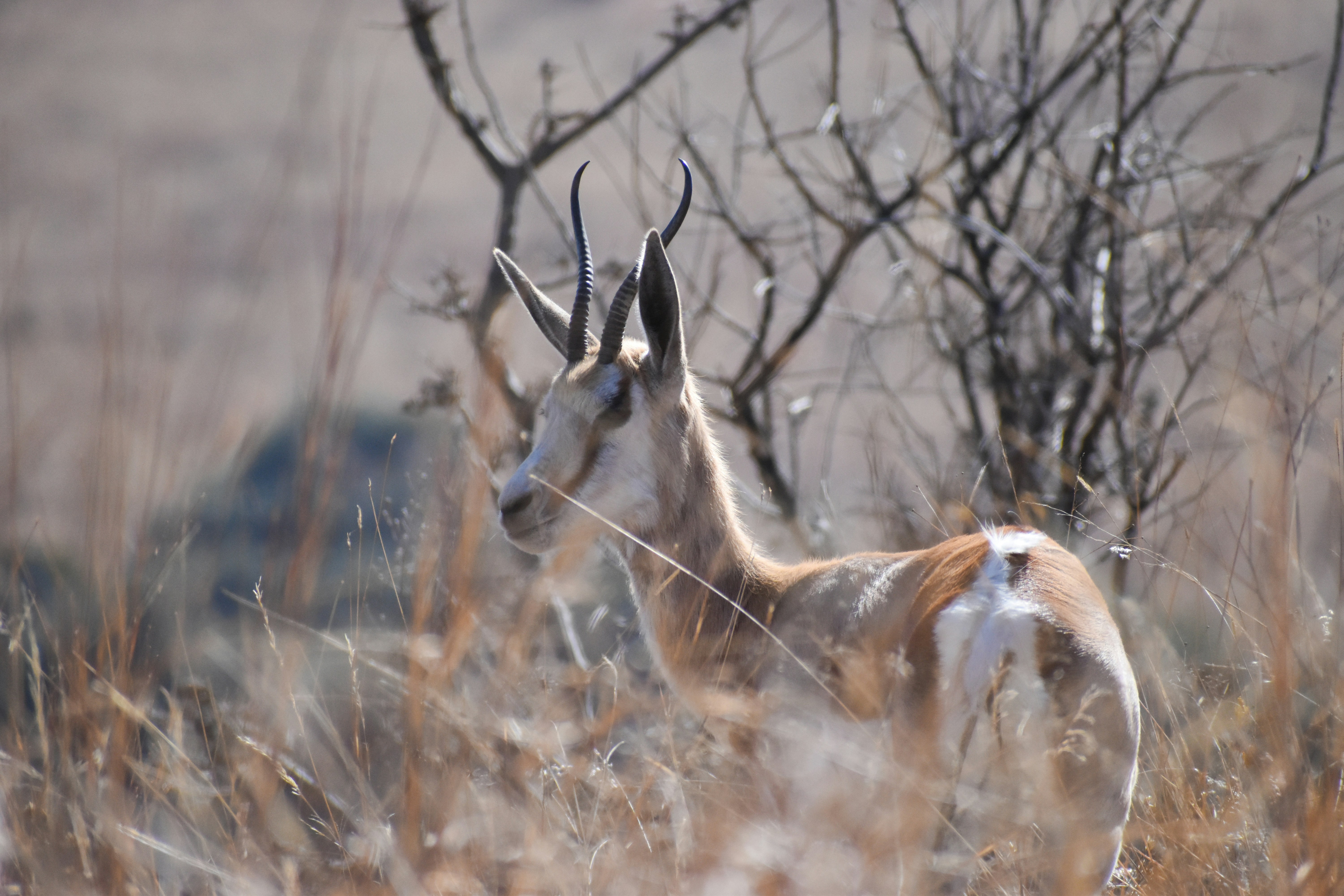 Photo by nadineventer_