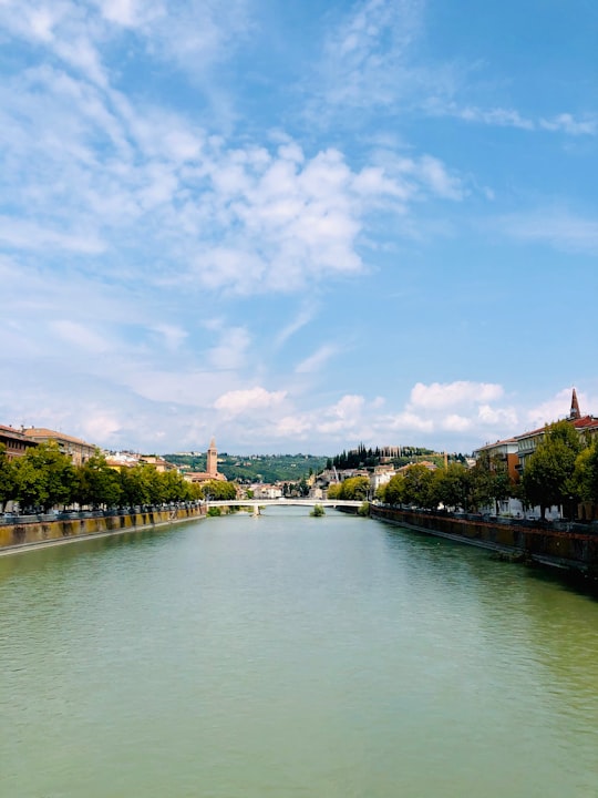 white boat on river near green trees under blue sky during daytime in Castel San Pietro Italy