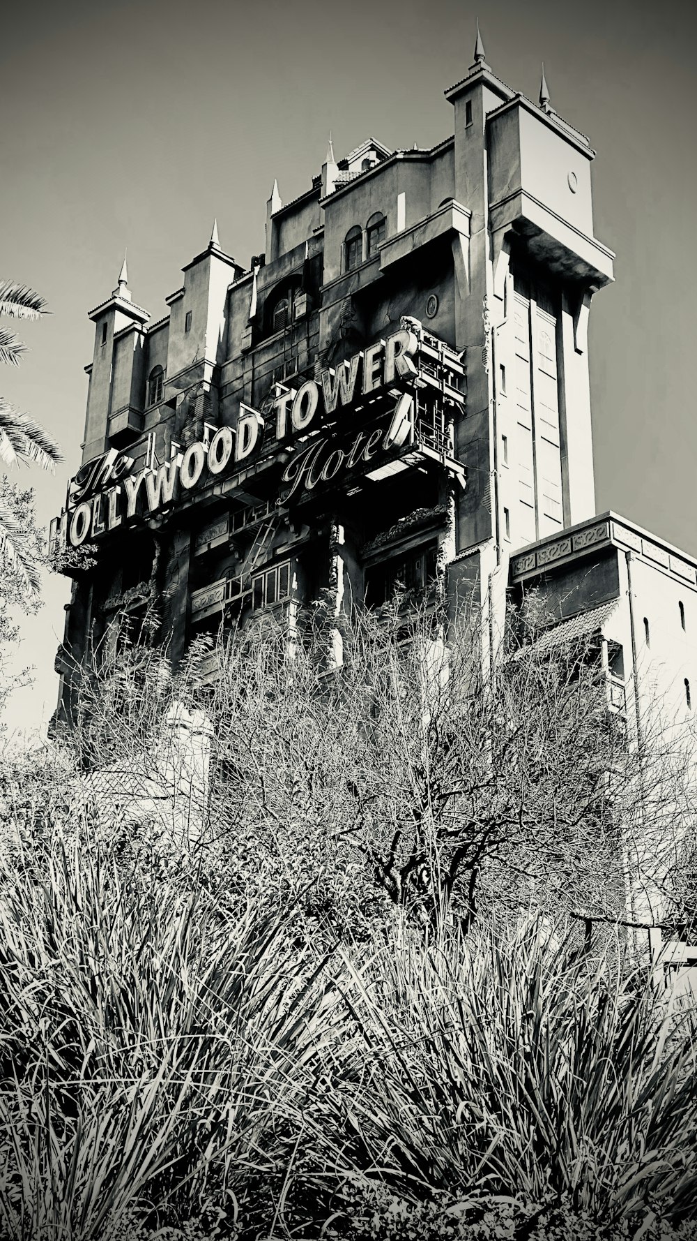 gray scale photo of hollywood building
