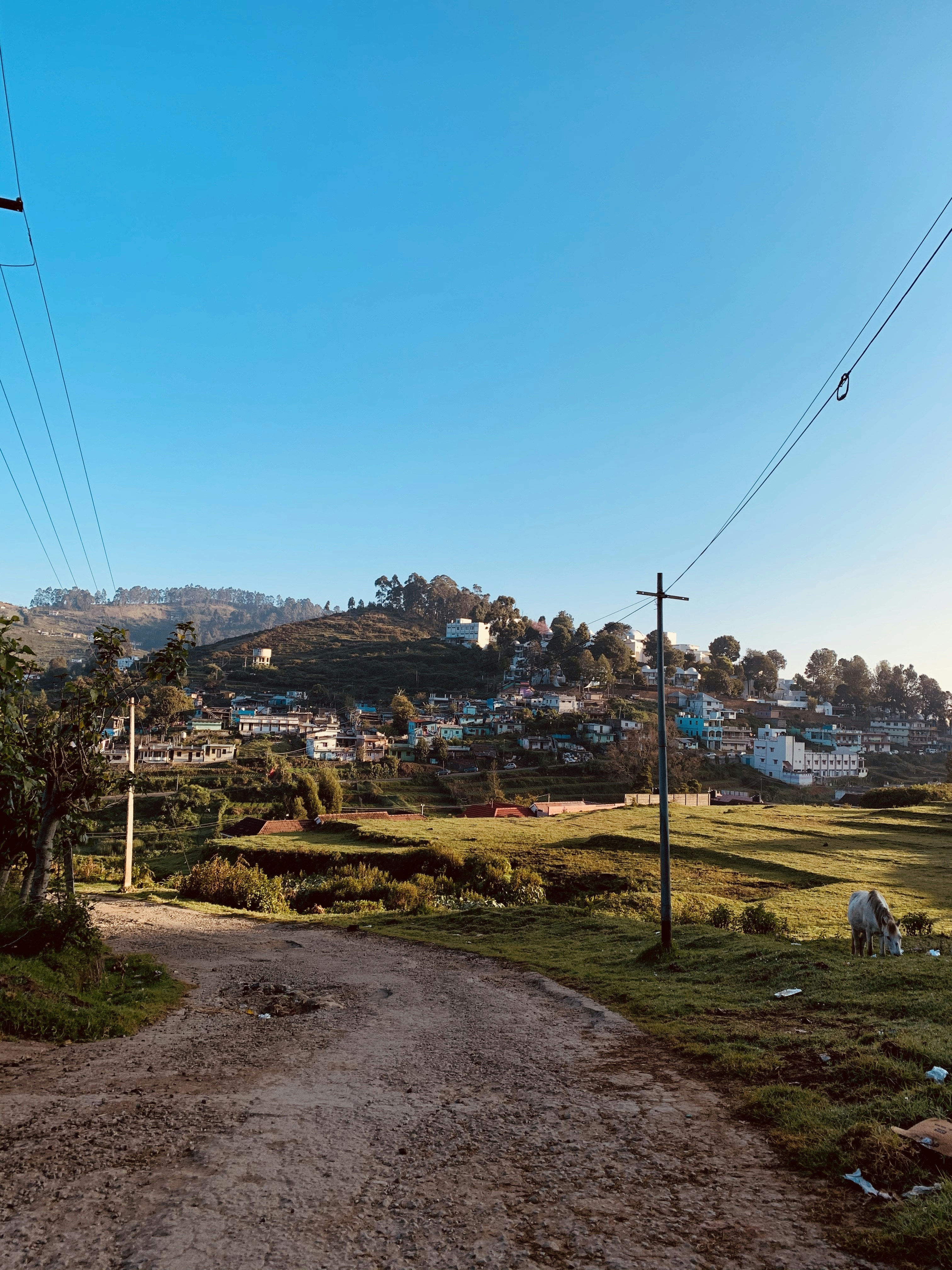 green grass field near gray concrete road during daytime