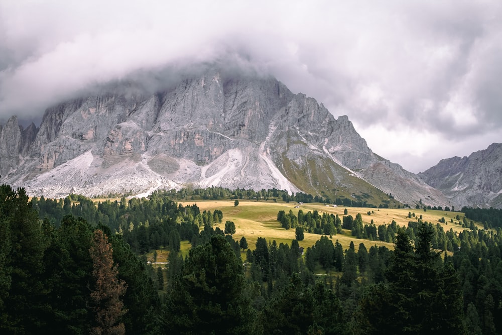 green trees near mountain under cloudy sky during daytime